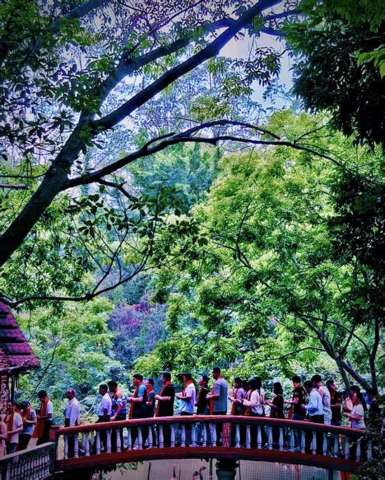 1747705696539403.png image.png